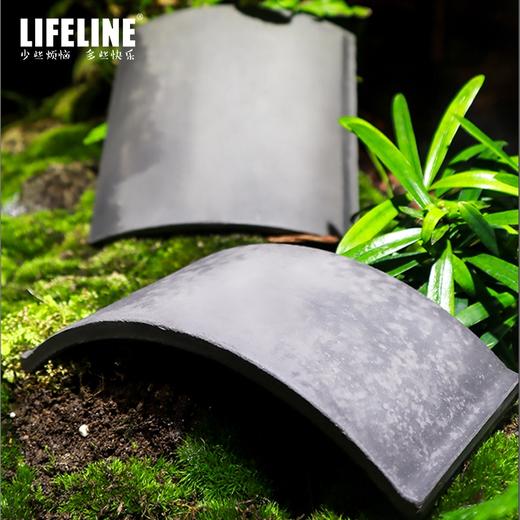 命脉乌龟爬虫加湿躲避屋黄缘龟爬台造景 商品图2