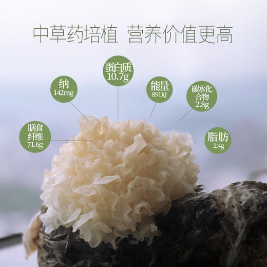 本草银耳 营养搭配 美容养颜 冲泡即食 商品图3