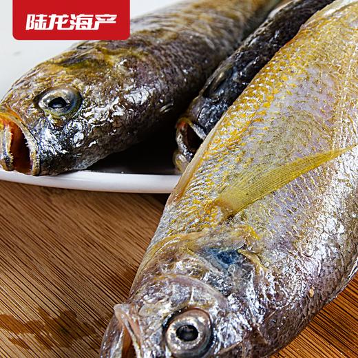1989陆龙兄弟750g东海冷冻小黄鱼/12-15条 商品图2