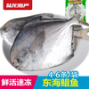 1999陆龙兄弟600g冷冻鲳鱼 商品缩略图0