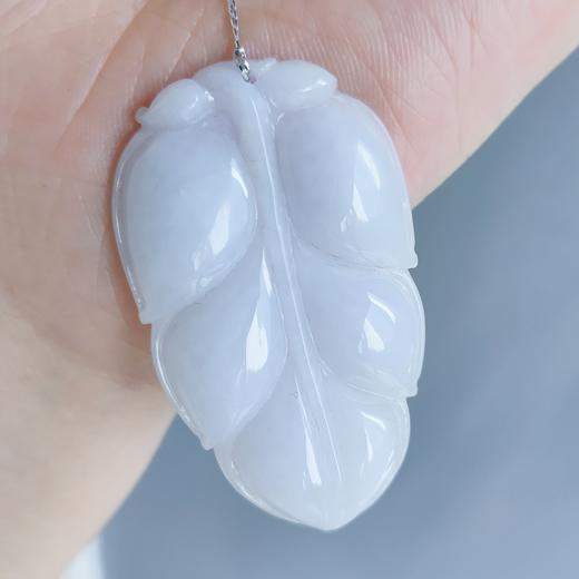 紫花件（金枝玉叶） 商品图1