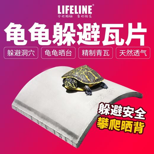 命脉乌龟爬虫加湿躲避屋黄缘龟爬台造景 商品图0