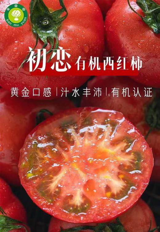 新疆西红柿，小时候的味道，5斤家庭装，顺丰空运包邮 商品图2