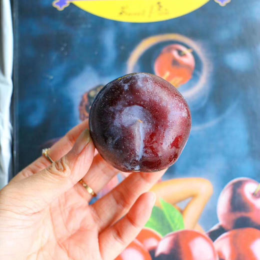 稀有好货女神sweetpixie甜蜜精灵系列夜玫瑰恐龙蛋纯甜无酸入口甜美