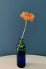 YAANG life 乐杨设计上下双色玻璃花瓶干花瓶 商品缩略图0