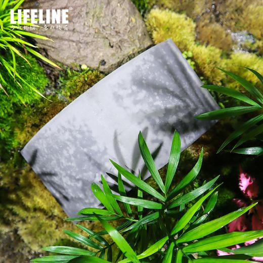 命脉乌龟爬虫加湿躲避屋黄缘龟爬台造景 商品图4