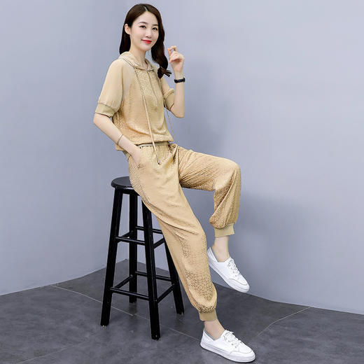 WZNH-CSYL20155-1夏季韩版短袖通勤休闲气质套装 商品图1