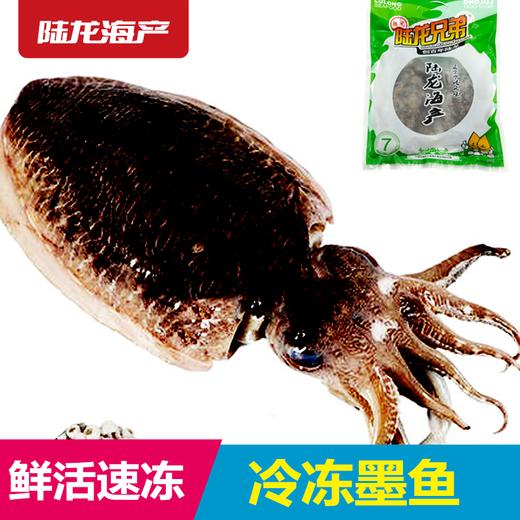 1992陆龙冷冻墨鱼650g 商品图0