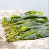 海带嫩芽 商品缩略图0