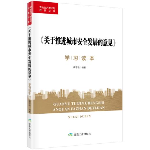 《关于推进城市安全发展的意见》学习读本 商品图0