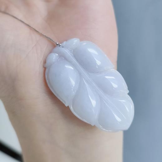 紫花件（金枝玉叶） 商品图2