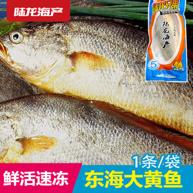 1990陆龙兄弟600g冷冻大黄鱼