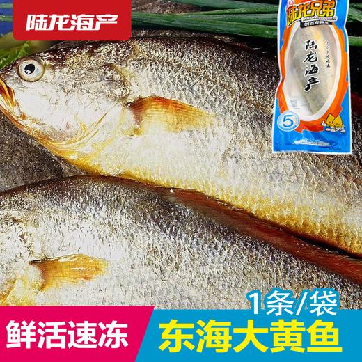 1990陆龙兄弟600g冷冻大黄鱼 商品图0