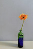 YAANG life 乐杨设计上下双色玻璃花瓶干花瓶 商品缩略图1