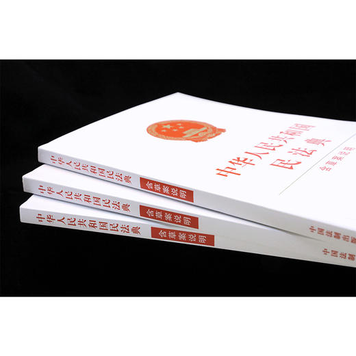 中华人民共和国民法典 含草案说明 商品图1