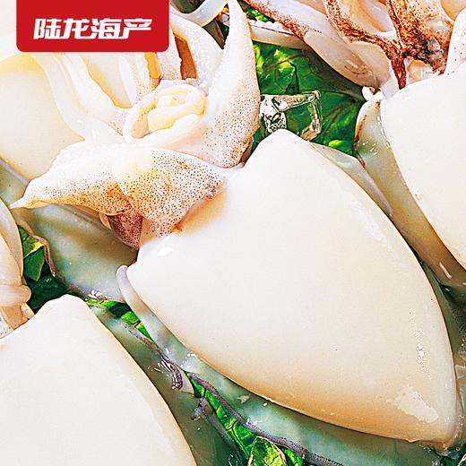 1992陆龙冷冻墨鱼650g 商品图2