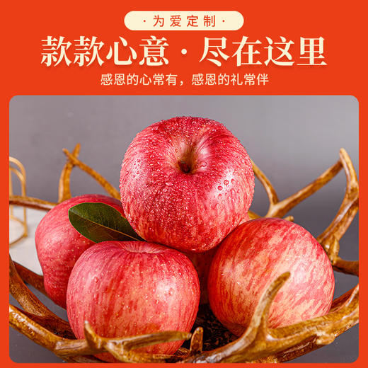 【年供款】顶端果业正宗洛川苹果红富士苹果20枚75mm中果 全年月供 新鲜水果每天陪伴 商品图3