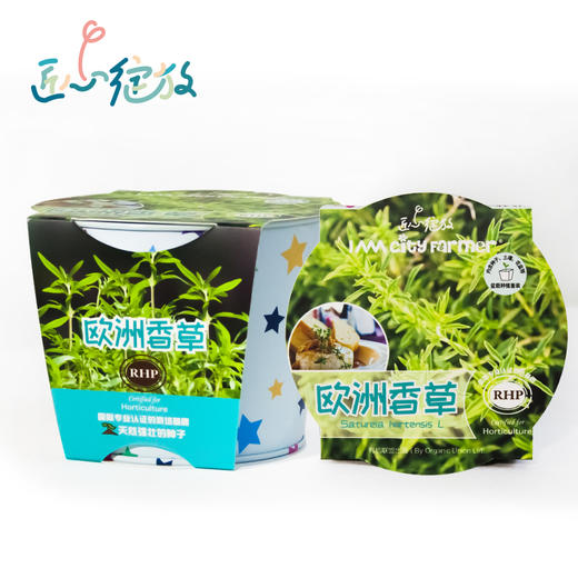 IAM趣味盆栽欧洲香草 新款DIY盆栽室内种植净化绿植 礼物文创 商品图0