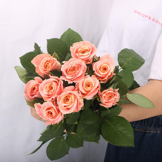 玫瑰·猪小姐 商品图0