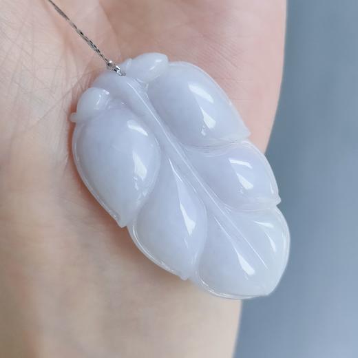 紫花件（金枝玉叶） 商品图0