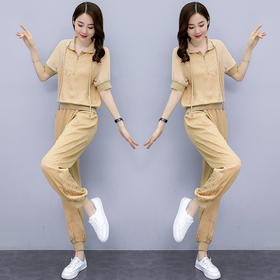 WZNH-CSYL20155-1夏季韩版短袖通勤休闲气质套装