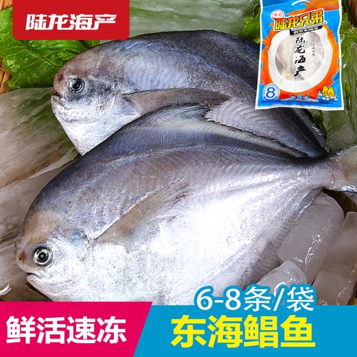 1986陆龙兄弟750g东海冷冻鲳鱼 商品图0