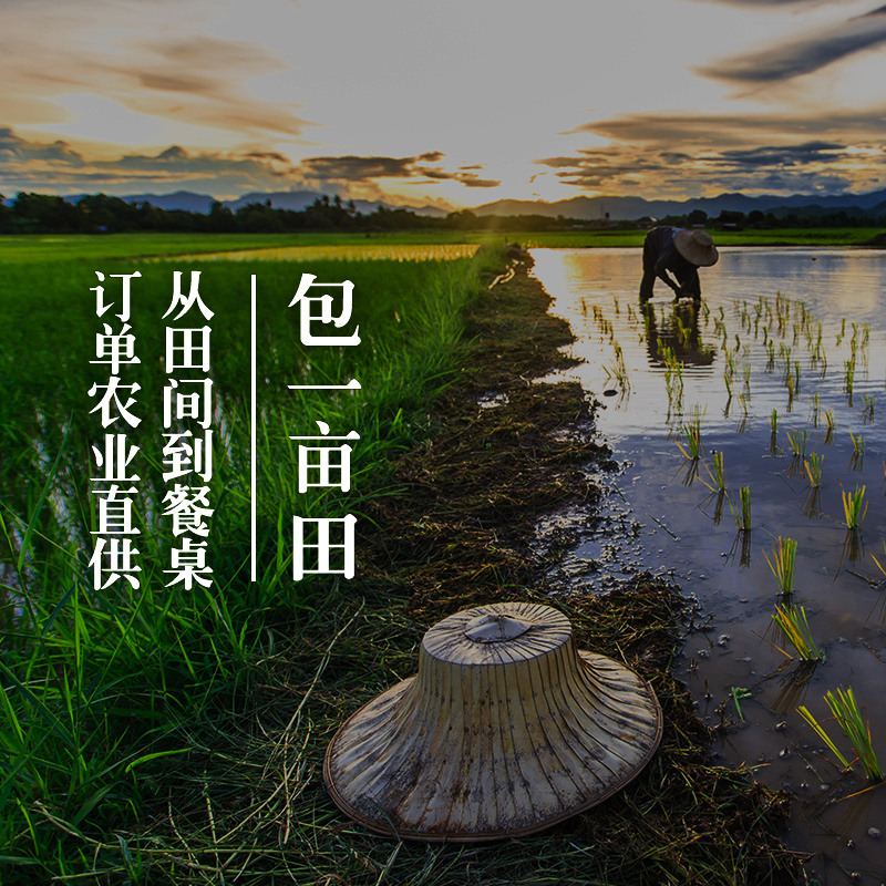 吉内得富硒大米年卡