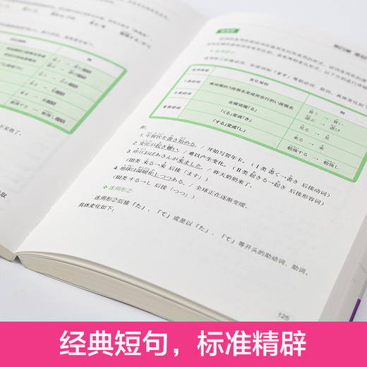 零基础日语入门王 标准日本语自学入门书（发音、单词、语法、单句、会话） 商品图3