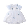 MN-2020040711夏新款女童韩版洋气蝴蝶刺绣网纱公主连衣裙 商品缩略图4