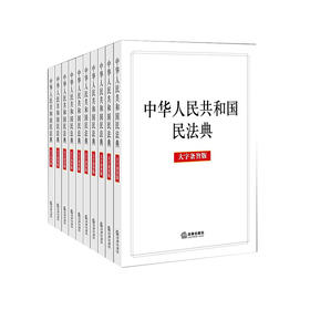 10本套 2020年 中华人民共和国民法典 大字条旨版 法律出版社