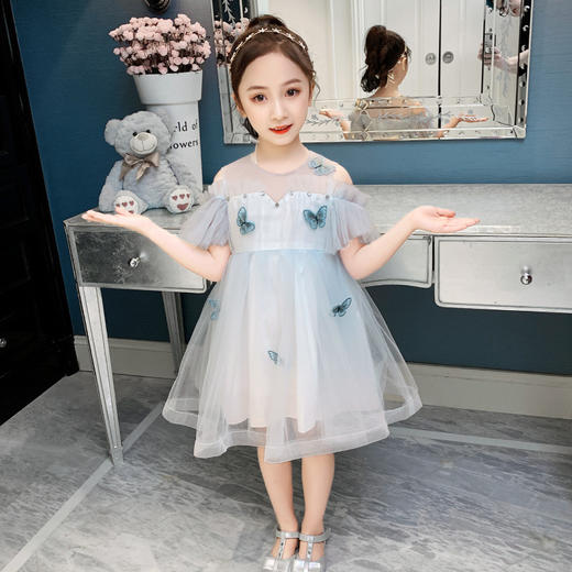 MN-2020040711夏新款女童韩版洋气蝴蝶刺绣网纱公主连衣裙 商品图3