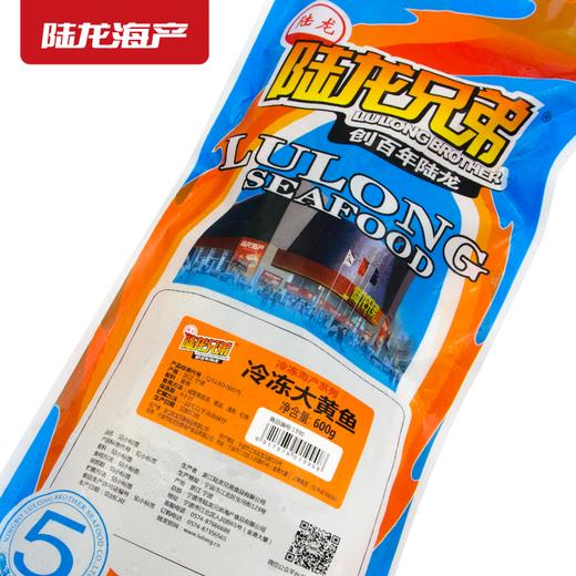 1990陆龙兄弟600g冷冻大黄鱼 商品图2