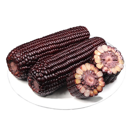 维珍甜糯新鲜黑玉米现摘6个有机紫糯嫩玉米代餐农家苞米带壳批发 - 歌