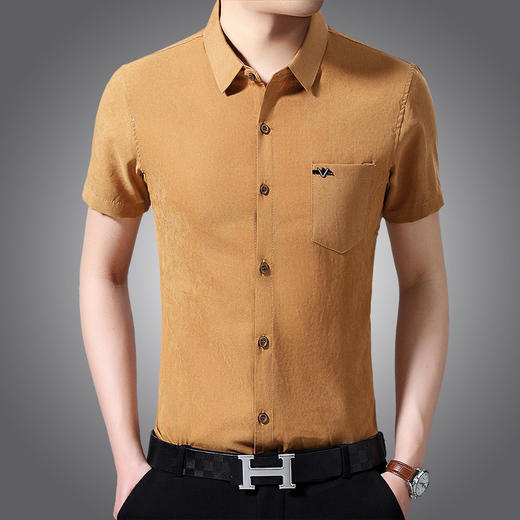 HY-2083新品薄款纯色男士T恤高档纯棉短袖衬衫 商品图2