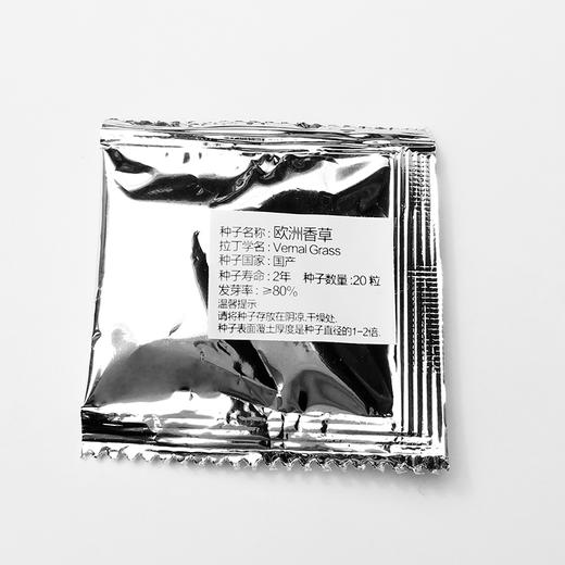 IAM趣味盆栽欧洲香草 新款DIY盆栽室内种植净化绿植 礼物文创 商品图4