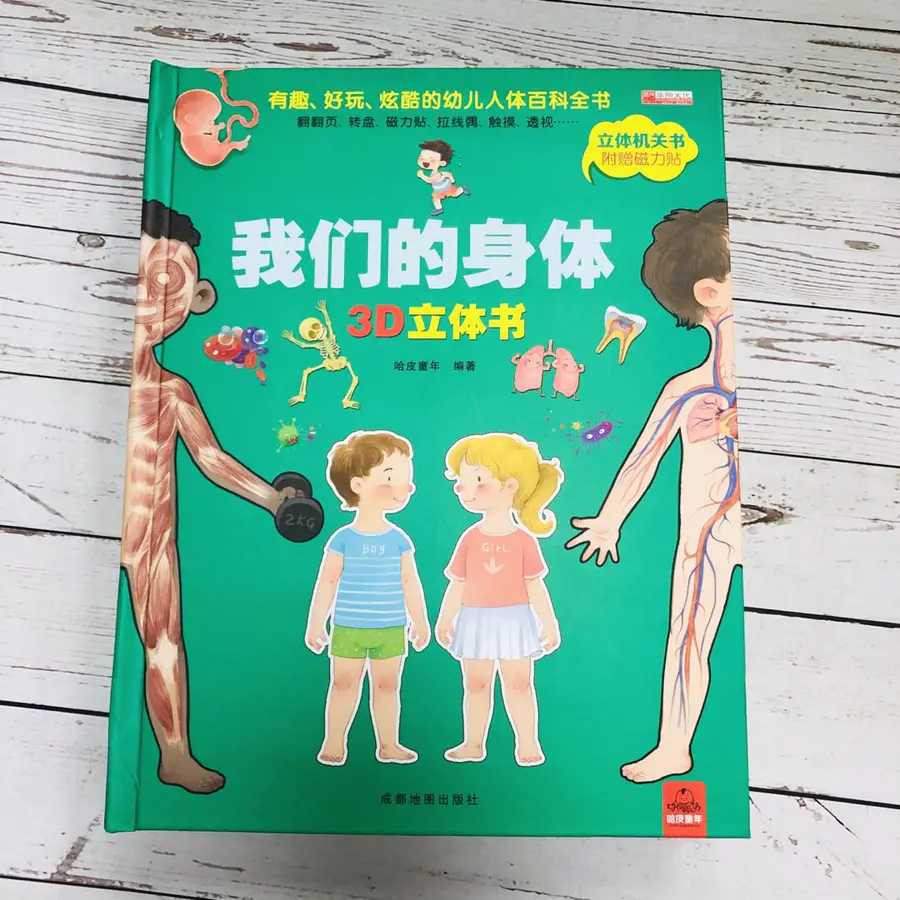 3 10岁 我们的身体3d立体书 好玩 有趣 涨知识 帮助孩子建立性别意识和自我保护意识