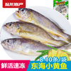 1901陆龙东海冷冻小黄鱼500g/8-10条 商品缩略图0