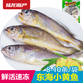 1901陆龙东海冷冻小黄鱼500g/8-10条