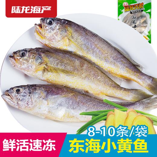 1901陆龙东海冷冻小黄鱼500g/8-10条 商品图0