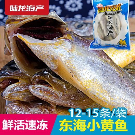1989陆龙兄弟750g东海冷冻小黄鱼/12-15条 商品图0