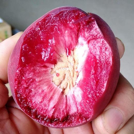 超值超好吃正宗老树朱砂红桃3斤次日达