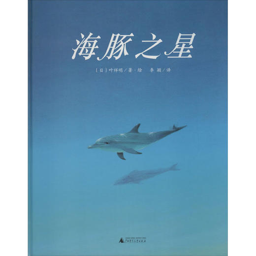 海豚之星 商品图0