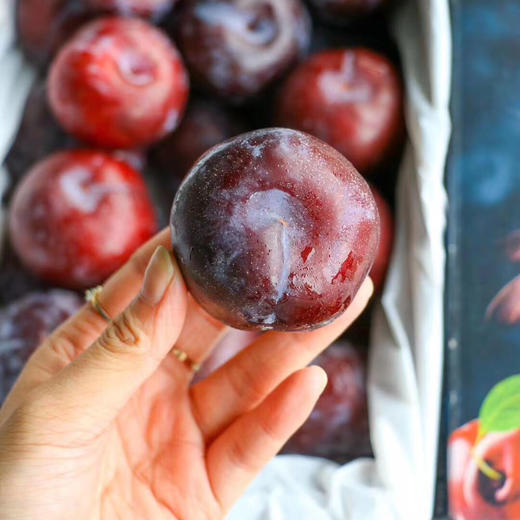 稀有好货女神sweetpixie甜蜜精灵系列夜玫瑰恐龙蛋纯甜无酸入口甜美