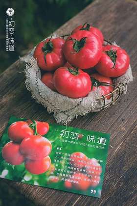 新疆西红柿，小时候的味道，5斤家庭装，顺丰空运包邮