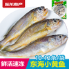 1997陆龙兄弟600g东海冷冻小黄鱼(10-12条) 商品缩略图0