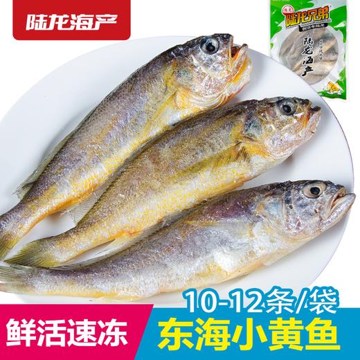 1997陆龙兄弟600g东海冷冻小黄鱼(10-12条) 商品图0