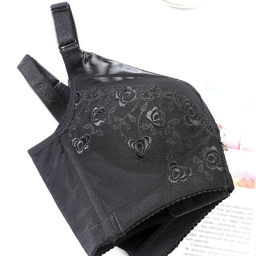 皇家丽美无钢圈记忆棉文胸厚杯小胸显大零压聚拢文胸WWJQ008-3 商品图1