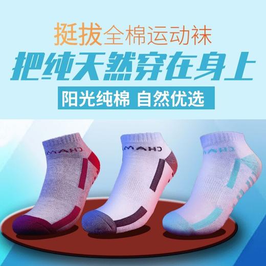 Tibhar挺拔2020款全棉乒乓球运动袜柔软透气加厚新品 商品图0