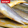 1989陆龙兄弟750g东海冷冻小黄鱼/12-15条 商品缩略图1