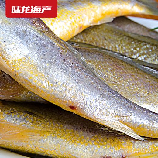 1989陆龙兄弟750g东海冷冻小黄鱼/12-15条 商品图1